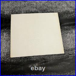 BUGS BUNNY Production Cel Signed By CHUCK JONES Looney Tunes 1978