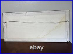 Chick Jones Road Runner And Coyote Fanatic Picture Panoramic Cel