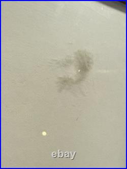 Looney Tunes WILE COYOTE ROAD RUNNER Salt And Pepper Chuck Jones Signed Cel LE